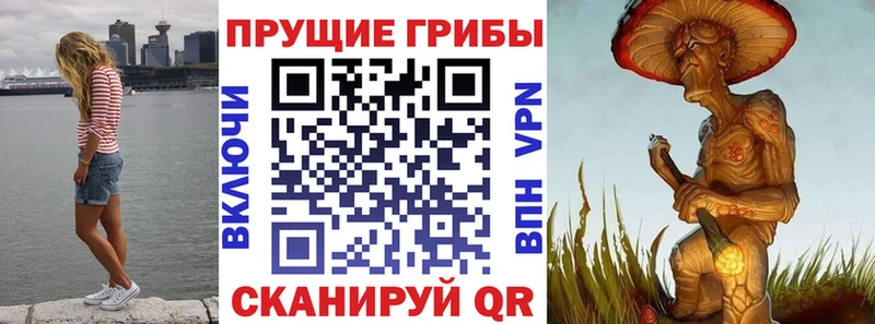 Галлюциногенные грибы прущие грибы  Заозёрный 